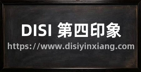 DISI 第四印象