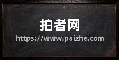 拍者网