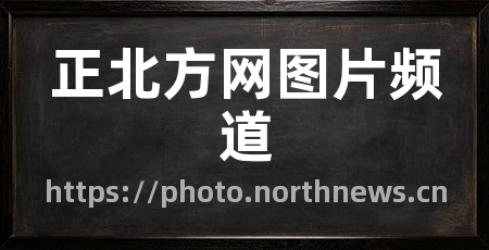 正北方网图片频道