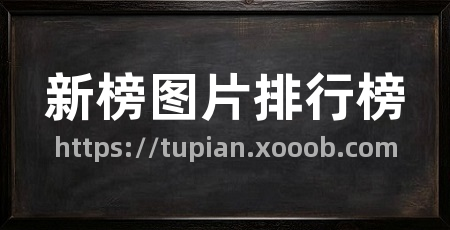 新榜图片排行榜