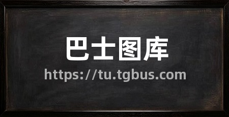 巴士图库
