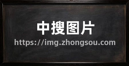 中搜图片