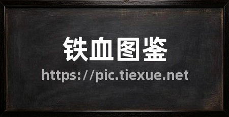 铁血图鉴