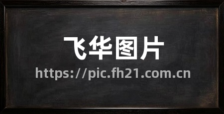 飞华图片