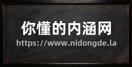 你懂的内涵网
