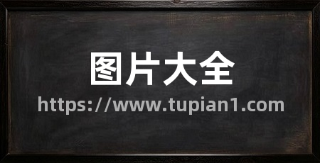 图片大全