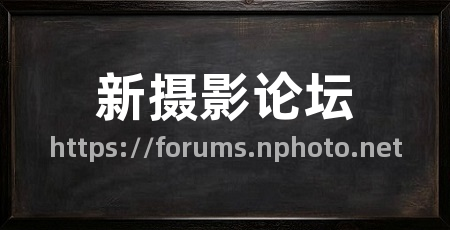新摄影论坛