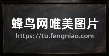 蜂鸟网唯美图片