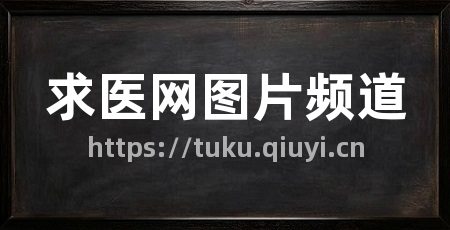求医网图片频道