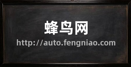 蜂鸟网