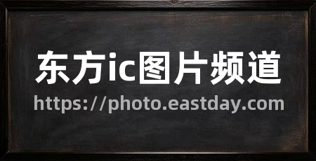 东方ic图片频道