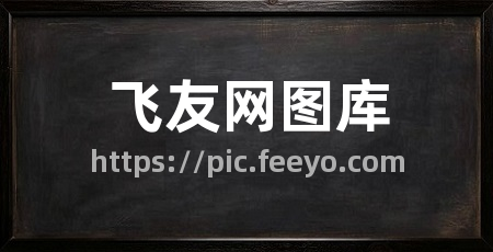飞友网图库