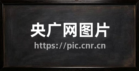 央广网图片