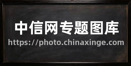 中信网专题图库