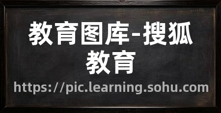 教育图库-搜狐教育