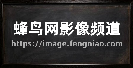 蜂鸟网影像频道