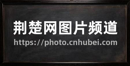 荆楚网图片频道