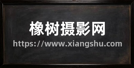 橡树摄影网