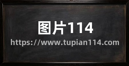 图片114
