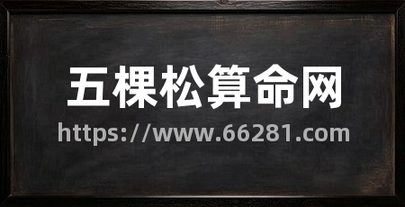 五棵松算命网