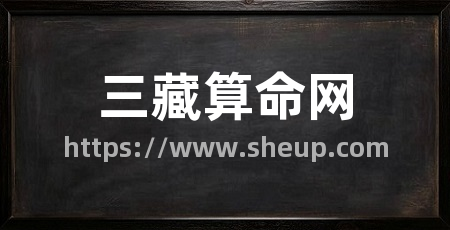 三藏算命网