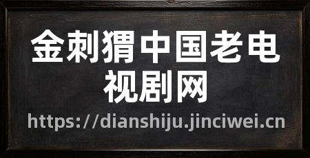 金刺猬中国老电视剧网