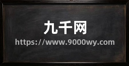 九千网