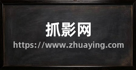 抓影网