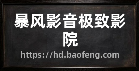 暴风影音极致影院