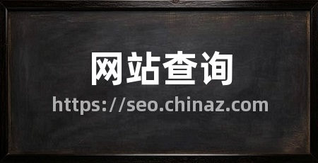 网站查询