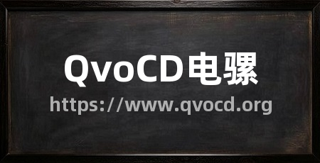 QvoCD电骡