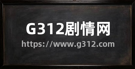 G312剧情网