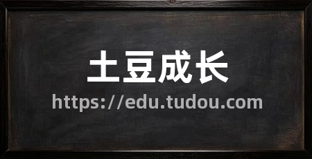 土豆成长