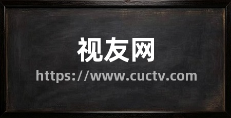 视友网