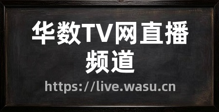华数TV网直播频道