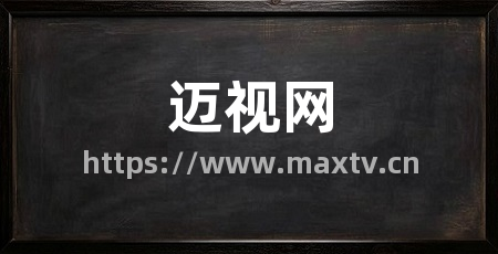 迈视网