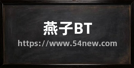 燕子BT