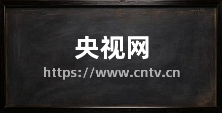 央视网