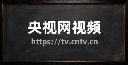 央视网视频