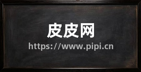 皮皮网