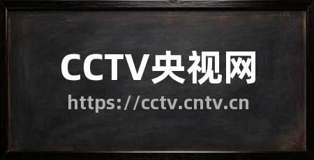 CCTV央视网