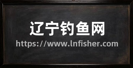 辽宁钓鱼网