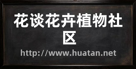 花谈花卉植物社区