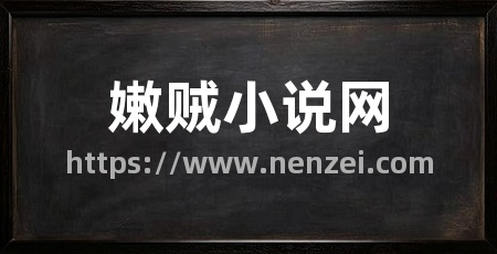 嫩贼小说网