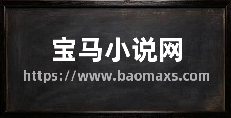 宝马小说网