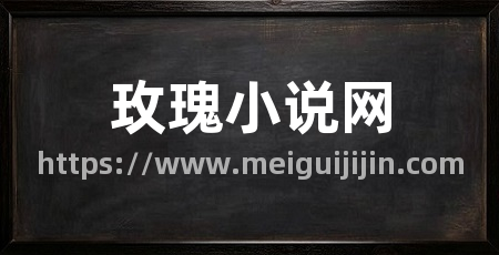 玫瑰小说网