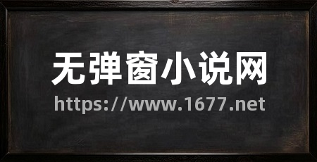 无弹窗小说网