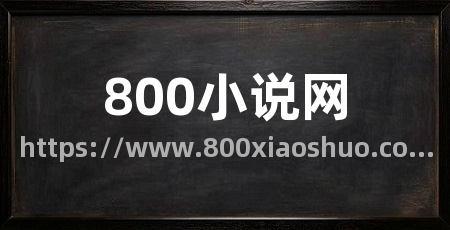 800小说网