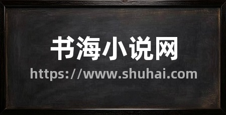 书海小说网