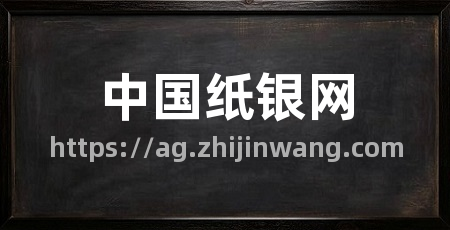 中国纸银网